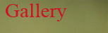 Photo Gallery