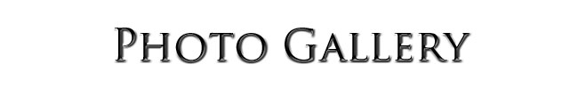 Photo Gallery